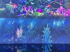 -中国湿地博物馆
