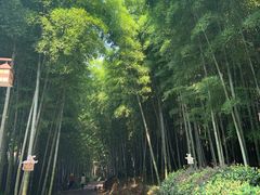 -苏州环秀晓筑养生度假村