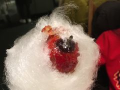 蒲公英糖葫芦-小大董·烤鸭(凤凰汇店)