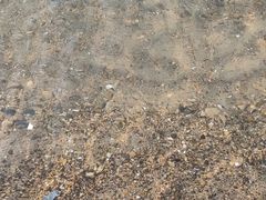 -那香海钻石沙滩浴场