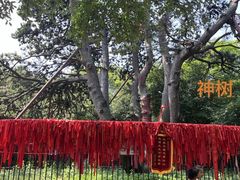 -北陵公园