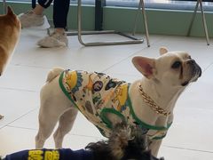 -怪兽屋·羊驼·猫咖·狗咖(俊华广场店)