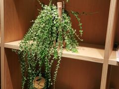 -左悦·艾灸调理·推拿按摩·精油SPA(卓悦汇店)