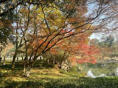 -九曜山