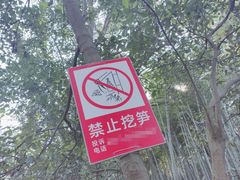 -杭州黄龙洞