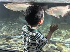 -福州罗源湾海洋世界旅游区