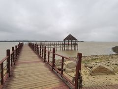 -瑶湖郊野森林公园