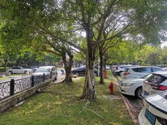 -中旅阿那亚九龙湖·公主酒店