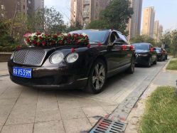 -蚂蚁婚车