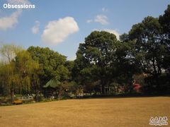 草坪-申粤轩酒楼·三十年粤菜经典(丁香花园店)