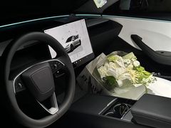 -TESLA 特斯拉(郑州正弘城体验店)