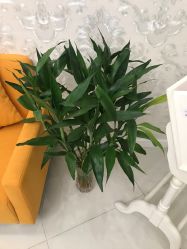 -Cocodemer女性健康·产后恢复(天一广场店)