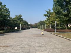 -九里河湿地公园