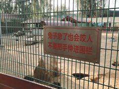 -羊亭河湿地公园