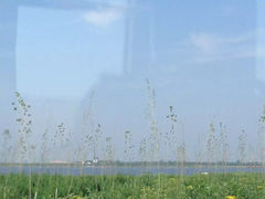 -呼兰河口湿地公园