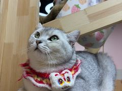 -上海大自然野生昆虫馆(东方明珠·爬宠昆虫探索中心)