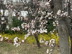 -郑州植物园
