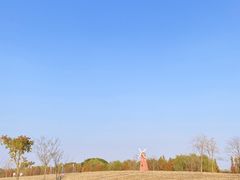 -同里国家湿地公园
