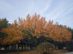 -长春世界雕塑园冰雪艺术天地