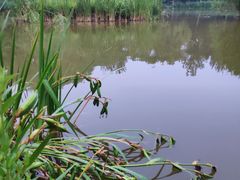 -将府公园