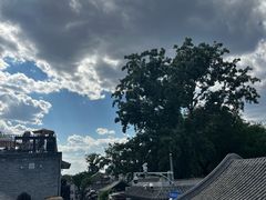 -Sirena海妖日咖夜酒