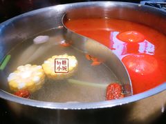 -手选潮汕鲜活牛肉火锅(二七广场店)