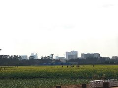 -光明小镇欢乐田园