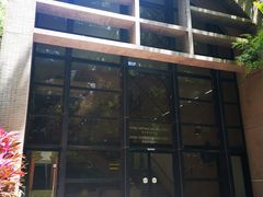 -香港大学