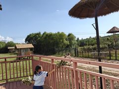 -鄂尔多斯野生动物园