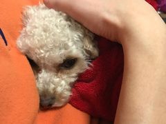 -巧手推拿中心(盲人推拿)