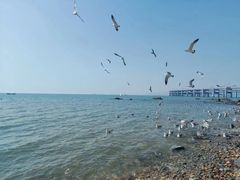 -银沙滩浴场