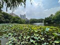 -荔湾湖公园