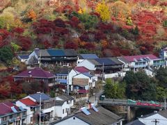 -四明山国家森林公园