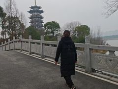 -洋湖国家湿地公园