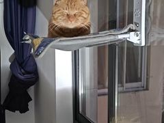 -圣宠动物医院·犬猫专科·影像中心·外科中心