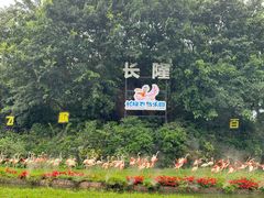-广州长隆飞鸟乐园
