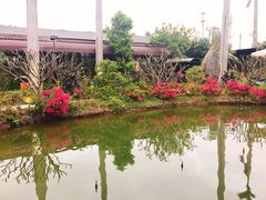 -花溪雨·森林餐厅(石基店)