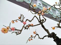 -叁口煮老火锅(东升店)