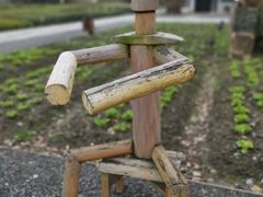-田园东方蜜桃村的田野营地