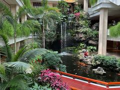 -白天鹅宾馆-宏图府餐厅