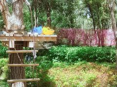 -杜氏旅游度假区