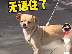 -遇见小面(东方宝泰店)