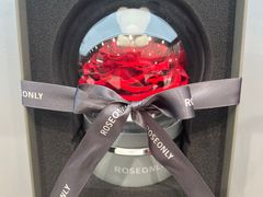 -ROSEONLY诺誓(广州K11店)