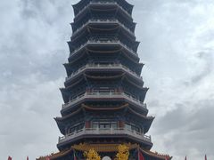 -金塔沙漠胡杨林景区