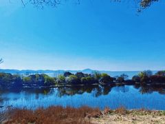 -上海市保健医疗中心