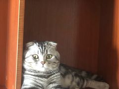 -烧哥美蛙肥肠鱼火锅·十五年社区店