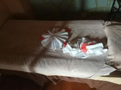 -虎杖传说·还元生活馆