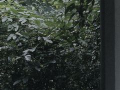 -杭州植物园