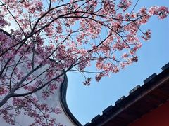 -乌山风景区