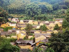 -杨家堂村